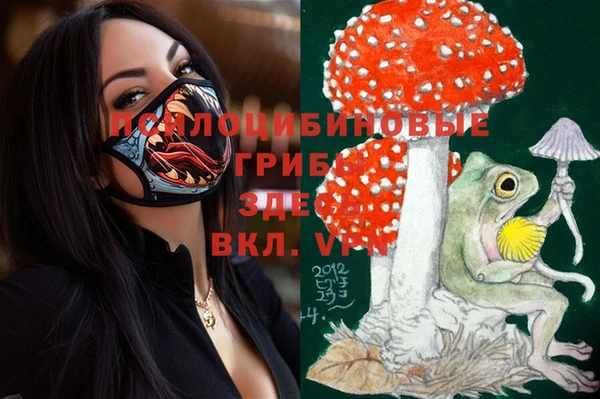 крисы Беломорск