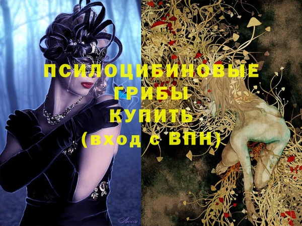 крисы Беломорск
