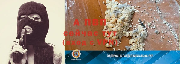 крисы Беломорск