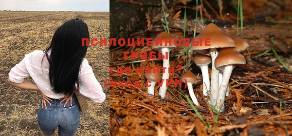 крисы Беломорск