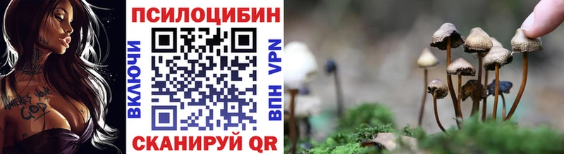 где купить   Верхняя Тура  Галлюциногенные грибы Psilocybe 